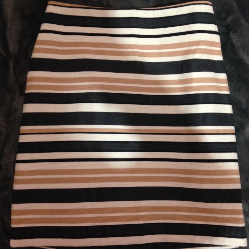 BNWOT Ann Taylor Skirt. 2P
